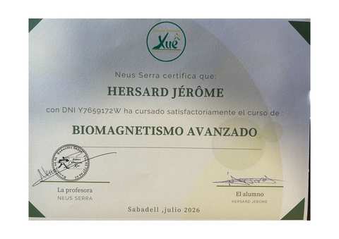 Certificado Biomagnetismo Avanzado